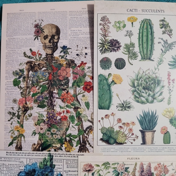 DIY Wall Collage Kit with double sided Wall adhesives DIY Dorm Room Wall Decor - Picture 4 of 7